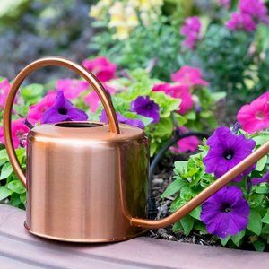 As a Posh Ambassador, I Can Help You Grow! I have a long reach to 100000+ users!